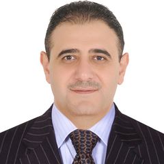 Rouied Badri, Sales Director - MENA