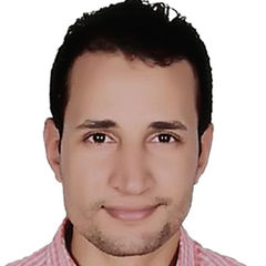Ahmed Abdel Azim Mahdy Hassan, Project Manager