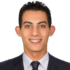 أحمد طارق فهمي محمد  سليمان, Site Manager