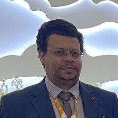 محي الدين علاء الدين, Web Developer