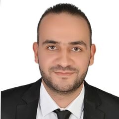 محمد فتحى محمد حفنى