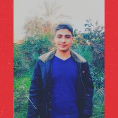 Ahmed  EL-hamahmy , مسوق الكتروني