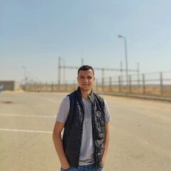 Usama Hosni