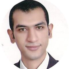 Amr kamel tawfik kenawy, senior Electrical engineer 