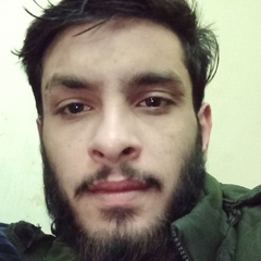 Muhammad Haseeb  Nawaz