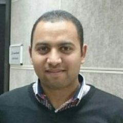 Ahmed Salem Elsayed, Accountant