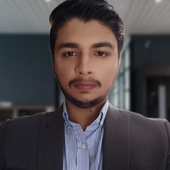 Talha Bin Usman, Wordpress php Developer