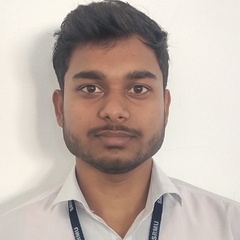 Abhishek yadav, Financial Accountant