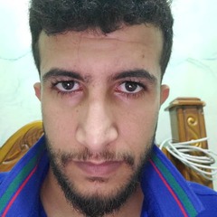 محمد العنسي