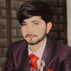 Muhammad Hamad Shoaib