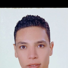 Omar  Mohiueldeen Besheer Omar