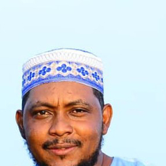 mohamed ahmed abdul rahman