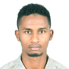 Ahmed Mohammed , driver