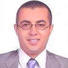Hossam El din Adel Ahmed Abolfotoh Abolfotoh , Projects Coordinator