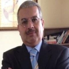 سهيل منصور, General Manager