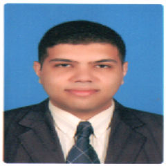 ahmed ramadan, Software Architect/ Power-BI Developer