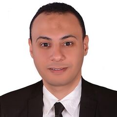 Mahmoud kandil, مستشار قانوني