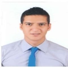 mostafa maher, civil engineer