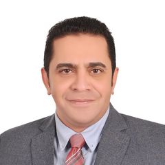 أحمد صالح, construction project manager