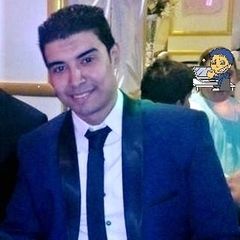 Ahmed Ramey Ragheb, Computer engineer and analyst for security systems