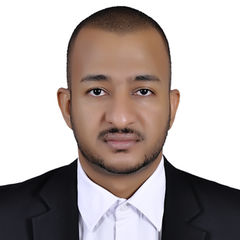 مازن الشيخ, Category Manager (Commercial & Operations)