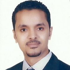 عبد المجيد السيد عبد المجيد حسن, site engineer 