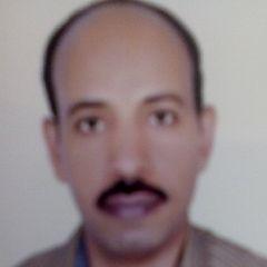 Alaa Abdel Halim Hussein Mohamed Mohamed, موظف