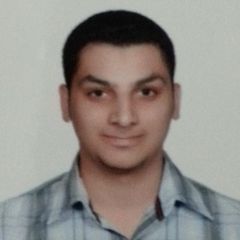 HUSAIN MAHDI, Web Developer / Designer
