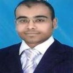 Mostafa Magdy Mohamed Ibrahim, SR. Sales Engineer