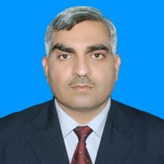 Muhammad Salim Shahid PMP, Project Manager