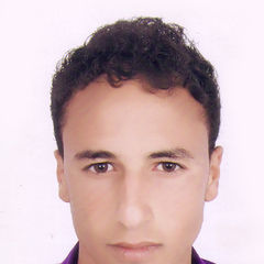 hamid toubani