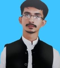 Hafiz Muhammad Tayyab Bhatti, Research Associate GIS