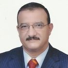 mohamed Adulazem bayoumy, D.P.M AND CONSTRUCTION MANAGER