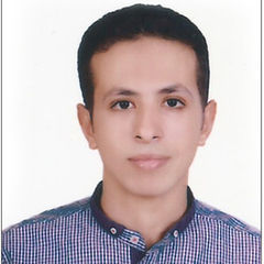 محمد أسامة سليمان مراد, محاسب عام