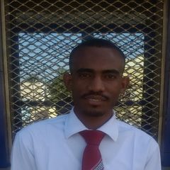 Orwa Abdelkarim Khalil Adam Ali, Senior  Programmer