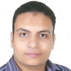 Mohammed Nasr El Deen, FM Engineer