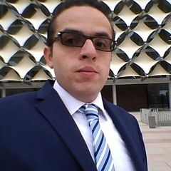 Mohamed Abd El Fattah Mohamed Ibrahim, Senior Accountant