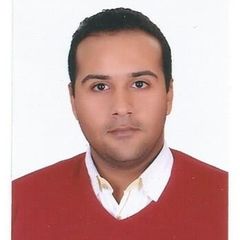 Mahmoud Ahmed Elmedany