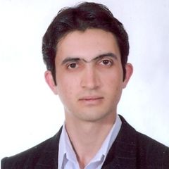 Mohsen Gheisarieha, Financial Software Developer