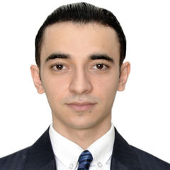 سهيل أبو سالم, Senior Solutions Engineer