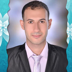 Aly Hamdy AbdElazeem Sakr