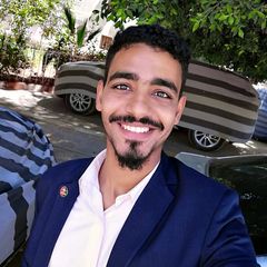 Mostafa El-hoseny