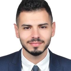 ريان بشاشة, Financial Consultant
