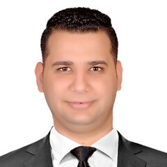 محمد عاطف منصور حلاوة, Civil Engineer
