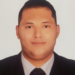 Saleh Ragab, Executive Accountant