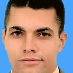 Sameh Omar, Project Manager Engineer