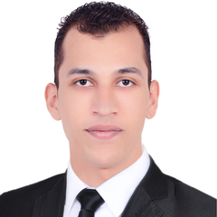 Youssef Nabil