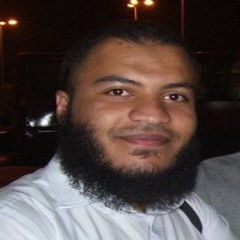 ahmed al-ghareeb, Senior .Net Developer