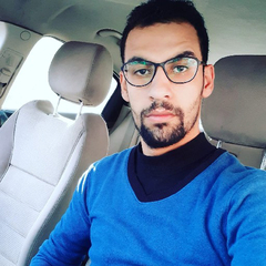 Ayman mohamed Abdelal