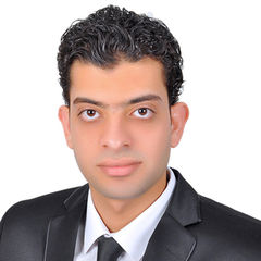 Mostafa Abdelhady, Accountant